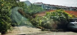 Adelphi Park Estate (D20), Terrace #594922001